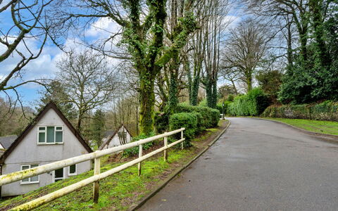 Toblerone Lodge: Ast, Baum, Blatt, Grün, Gras, Strassenbelag, Vegetation, Strasse, Strauch