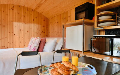 Demelza Shepherd'S Hut