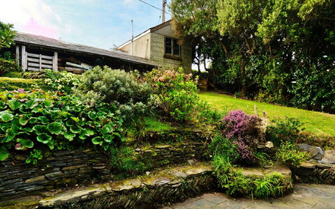 The Cuddy: Grün, Wand, Garten, Strauch, Pflanzengemeinschaft, Ground, Steinwand, Frühling, Landscaping