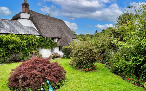 Okehampton 619: Gras, Dachdecken, Vegetation, Strauch, Hütte, Dach, Garten, Pflanzengemeinschaft, Ground