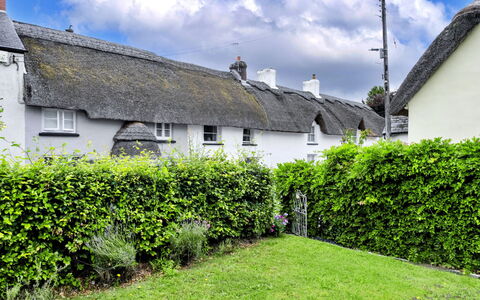 Okehampton 619: Strauch, Hecke, Hütte, Garten, Landscaping, Kumulus