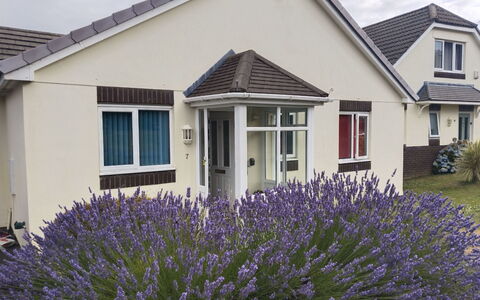Lavender Waye: Wohngebiet, Zuhause, Hütte, Garten, Rasen, Schiebefenster, Garten, Estate, Landscaping, Vorort
