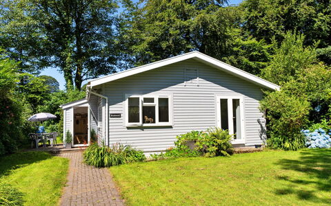 Brockwood: Gras, Haus, Strauch, Hütte, Zuhause, Ground, Garten, Abstellgleis, Rasen