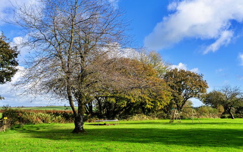 Halcyon Cottage, Stowford: Blau, Ast, Blatt, Gras, Grün, Baum, Natur, Wiese, Vegetation, Zweig