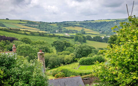 Coulscott Pipistrelle Barn: Grün, Vegetation, Natürliche Landschaft, Strauch, Landschaft, Wiese, Hügel, Ländliches Gebiet, Hochland