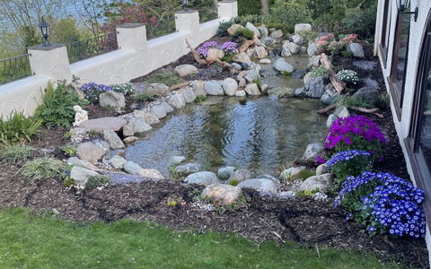 Cliff Lodge: \Fels, Strauch, Garten, Ground, Hinterhof, Landscaping, Water Feature, Garten, Rasen