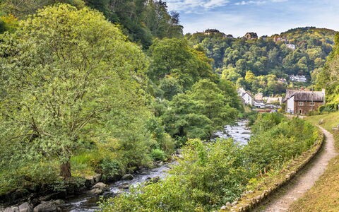 River Cottage: Wasser, Gewässer, Wasserlauf, Wasservorräte, Baum, Grün, Natürlichen Umgebung, Natur, Strom
