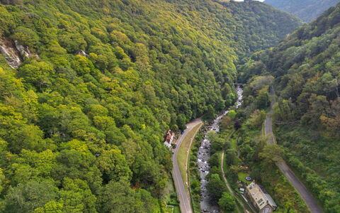River Cottage: Natur, Natürlichen Umgebung, Vegetation, Strauch, Wald, Landschaft, Hochland, Pflanzengemeinschaft, Dschungel, Durchgangsstrasse