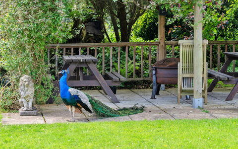 Trimstone Manor - Mill Apartment: Garten, Außenbank, Rasen, Garten