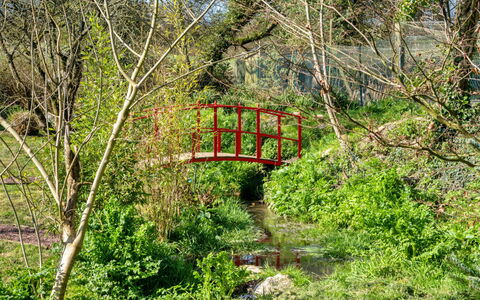Trimstone Manor - Lee, Studio Apartment: Grün, Natur, Natürlichen Umgebung, Blatt, Brücke, Vegetation, Natürliche Landschaft, Strauch, Pflanzengemeinschaft