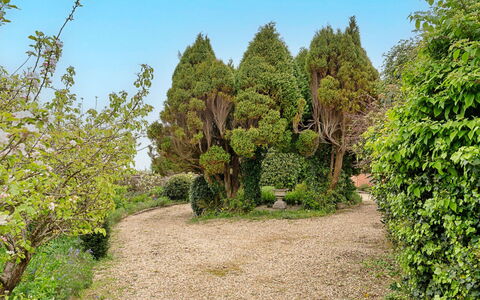 Heselwood: Grün, Blatt, Vegetation, Strauch, Garten, Pflanzengemeinschaft, Ground, Gehölz, Botanischer Garten