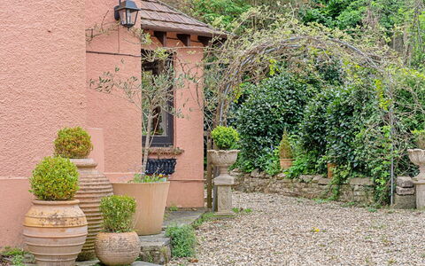 Heselwood: Strauch, Blumentopf, Garten, Frühling, Landscaping, Zimmerpflanze, Flagstone, Walkway, Backstein