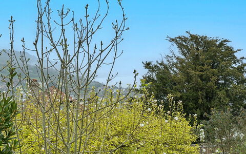The Heselwood Coach House: Himmel, Ast, Natur, Blatt, Vegetation, Gelb, Zweig, Frühling, Gehölz