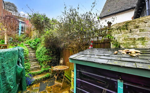 Old Town Cottage, Hastings: Strauch, Garten, Hütte, Hinterhof, Garten, Landscaping, Blumentopf, Zimmerpflanze