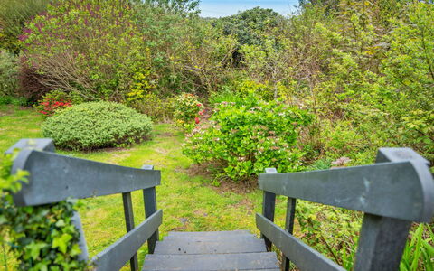 Arfron: Grün, Blatt, Natur, Vegetation, Natürliche Landschaft, Strauch, Pflanzengemeinschaft, Garten, Ground, Naturschutzgebiet