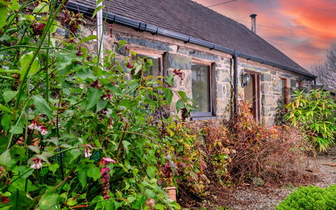 Pandy Farmhouse: Strauch, Hütte, Haus, Dach, Zuhause, Garten, Bauernhaus, Garten, Landscaping, Hinterhof