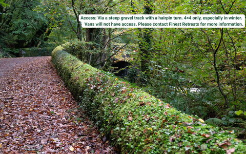 Waen Fechan: Blatt, Grün, Strauch, Ground, Pflanzengemeinschaft, Hecke, Garten, Boden, Kraut