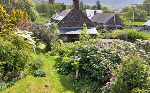 Y Cwtch: Grün, Vegetation, Haus, Dach, Strauch, Hütte, Pflanzengemeinschaft, Garten, Ländliches Gebiet