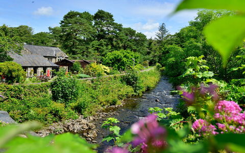 Artro View: Blume, Natur, Vegetation, Strauch, Garten, Hütte, Haus, Wasserlauf, Pflanzengemeinschaft