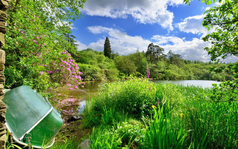 Tafarn Trip: Grün, Natur, Natürliche Landschaft, Vegetation, Strauch, Garten, Sommer, Wasserlauf, Pflanzengemeinschaft, Bank