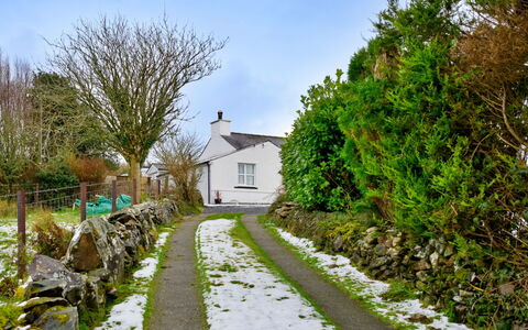 Merddyn Cottage: Strauch, Haus, Hütte, Ground, Auffahrt, Steigung, Garten, Dorf, Landscaping