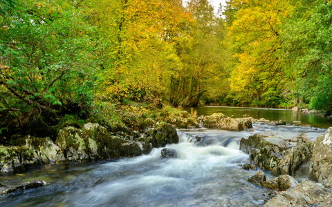 Bod Gwynedd: Wasser, Wasservorräte, Gewässer, Blatt, Natur, Ast, Wasserlauf, Grün, Strom, Natürlichen Umgebung