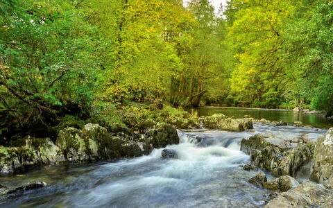 Dyffryn: Wasservorräte, Wasser, Wasserlauf, Gewässer, Ast, Natur, Blatt, Grün, Strom, Natürlichen Umgebung