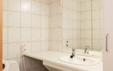 Koli Country Club B 7: Bad Sink, Armatur, Wand, Flooring, Sinken, Fussboden, Badezimmer, Interior Design, Zapfhahn, Installation