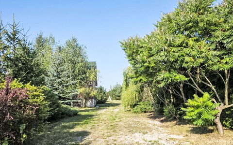 Oaza Spokoju: Vegetation, Strauch, Pflanzengemeinschaft, Gehölz, Garten, Immergrün, Landscaping, Lärche, Shrubland