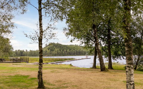 Lantdrömmen: Baum, Gras, Kofferraum, See, Park, Reservoir, Wald