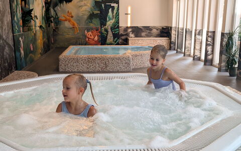 Viehhofen 1: Freizeit, Komfort, Kind, Jacuzzi, Hotel, Schwimmbad, Resort