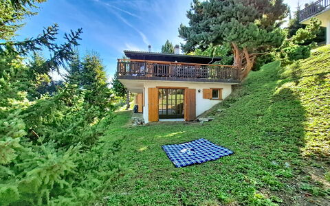 Ozer: Haus, Zuhause, Hütte, Garten, Ländliches Gebiet, Rasen, Bauernhaus, Estate, Garten, Hinterhof