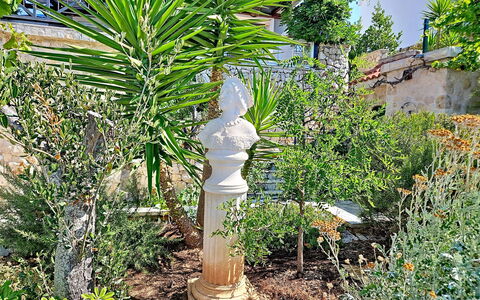 Bliss: Strauch, Garten, Rasen-Verzierung, Blumentopf, Säule, Landscaping, Zimmerpflanze, Botanischer Garten