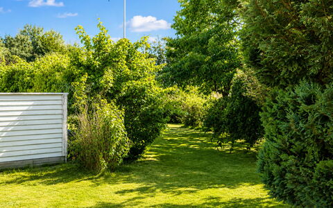 Jennys Pärla: Grün, Blatt, Natur, Vegetation, Strauch, Garten, Ground, Frühling, Sonnenlicht