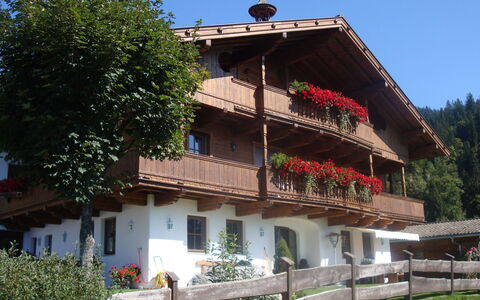 Hopfgarten im Brixental 696: Hütte, Balkon, Dorf, Blumentopf, Zimmerpflanze, Bauernhaus