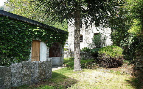 Ludiano 25: Blatt, Strauch, Garten, Steinwand, Schatten, Hinterhof