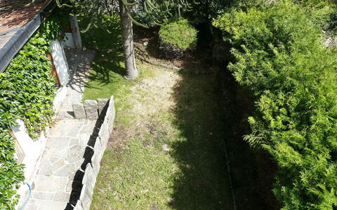 Ludiano 25: Grün, Blatt, Strauch, Garten, Ground, Schatten, Hinterhof, Walkway, Garten