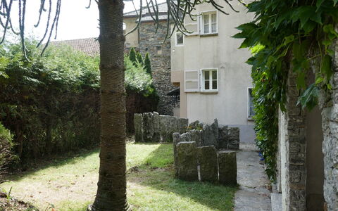 Ludiano 25: Wand, Strauch, Ground, Garten, Steinwand, Hinterhof, Landscaping, Garten, Walkway, Hof