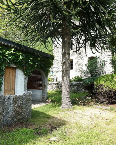 Ludiano 25