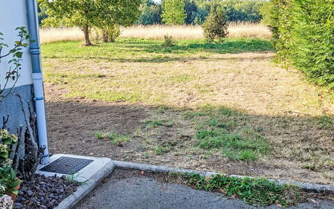 Puys-Richards: Gras, Strauch, Ground, Garten, Rasen, Boden, Hinterhof, Garten, Landscaping