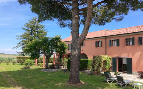 Ca' Rustica: Strauch, Estate, Hazienda, Garten, Landscaping, Garten, Rasen, Auffahrt, Schatten, Villa