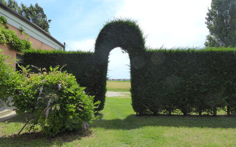Ca' Rustica: Strauch, Hecke, Garten, Landscaping, Rasen, Immergrün, Plantage