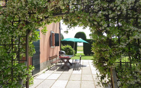 Ca' Rustica: Strauch, Garten, Ground, Frühling, Schatten, Garten, Landscaping, Rasen, Hinterhof, Hecke