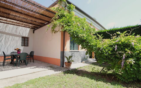 Ca' Rustica: Schatten, Garten, Hinterhof, Garten, Hazienda, Landscaping, Eco Hotel, Hof, Outdoor Struktur, Bauernhaus