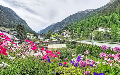 Jana: Schwimmbad, Bauernhaus, Estate, Villa, Resort, Hazienda, Eco Hotel, Hinterhof