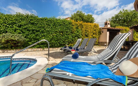 Marsa: Vegetation, Strauch, Frühling, Hütte, Garten, Schatten, Hinterhof, Garten, Stuhl