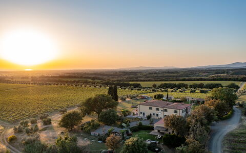 Villa Bellaria, Private Pool, Bolgheri: Landschaft, Einfach, Horizont, Wiese, Grundstueck, Ländliches Gebiet, Ökoregion, Feld, Landwirtschaft, Plantage