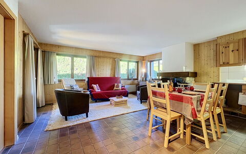Les Naines Brunes: Interior Design, Decke, Holz, Möbel, Flooring, Zimmer, Fussboden, Couch, Wohnzimmer, Wohnung
