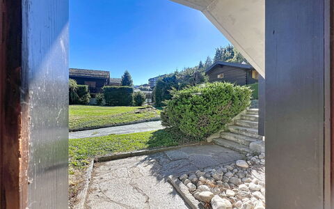 Les Naines Brunes: Strauch, Garten, Landscaping, Schatten, Auffahrt, Hecke, Walkway, Immergrün