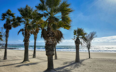 Virginie: Himmel, Blau, Strand, Sand, Küste, Meer, Kofferraum, Küsten Und Ozeanische Forms, Ufer, Ozean